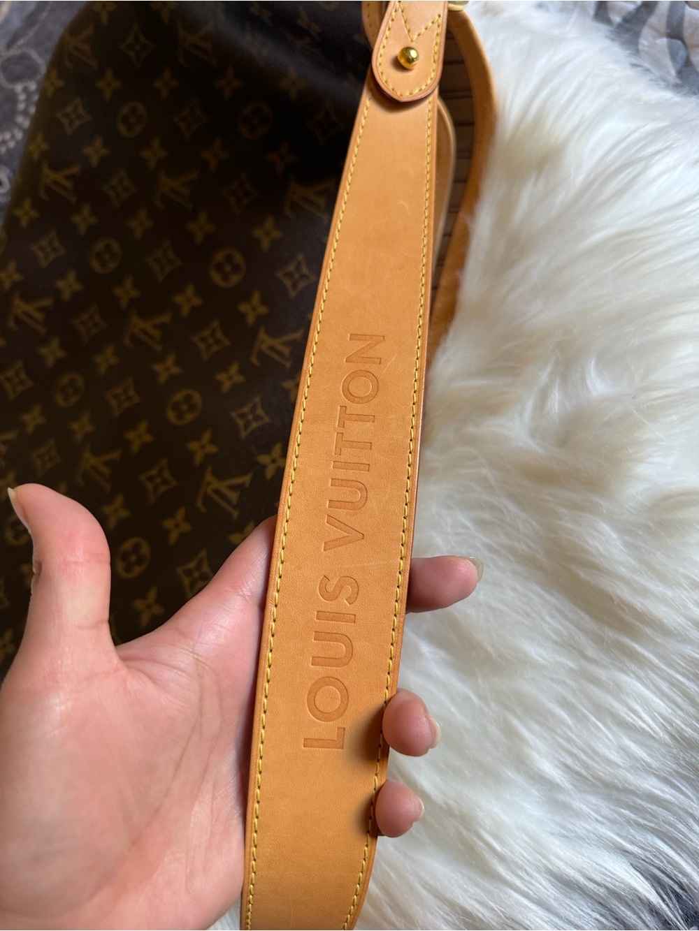 Louis Vuitton Delightful PM - Picture 13 of 15